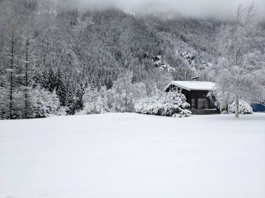 Chalet L'Ilet Ensoleille /Sunny Island Chalet Chamonix Exterior foto